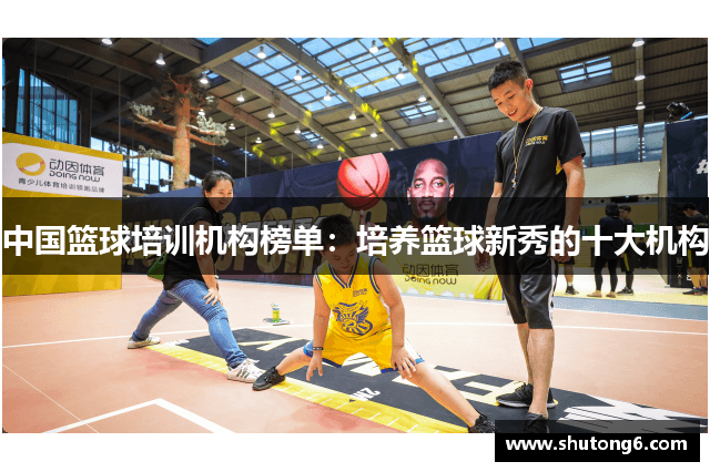 中国篮球培训机构榜单：培养篮球新秀的十大机构